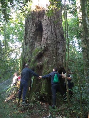 1ª Canafístula - Maravilha/SC